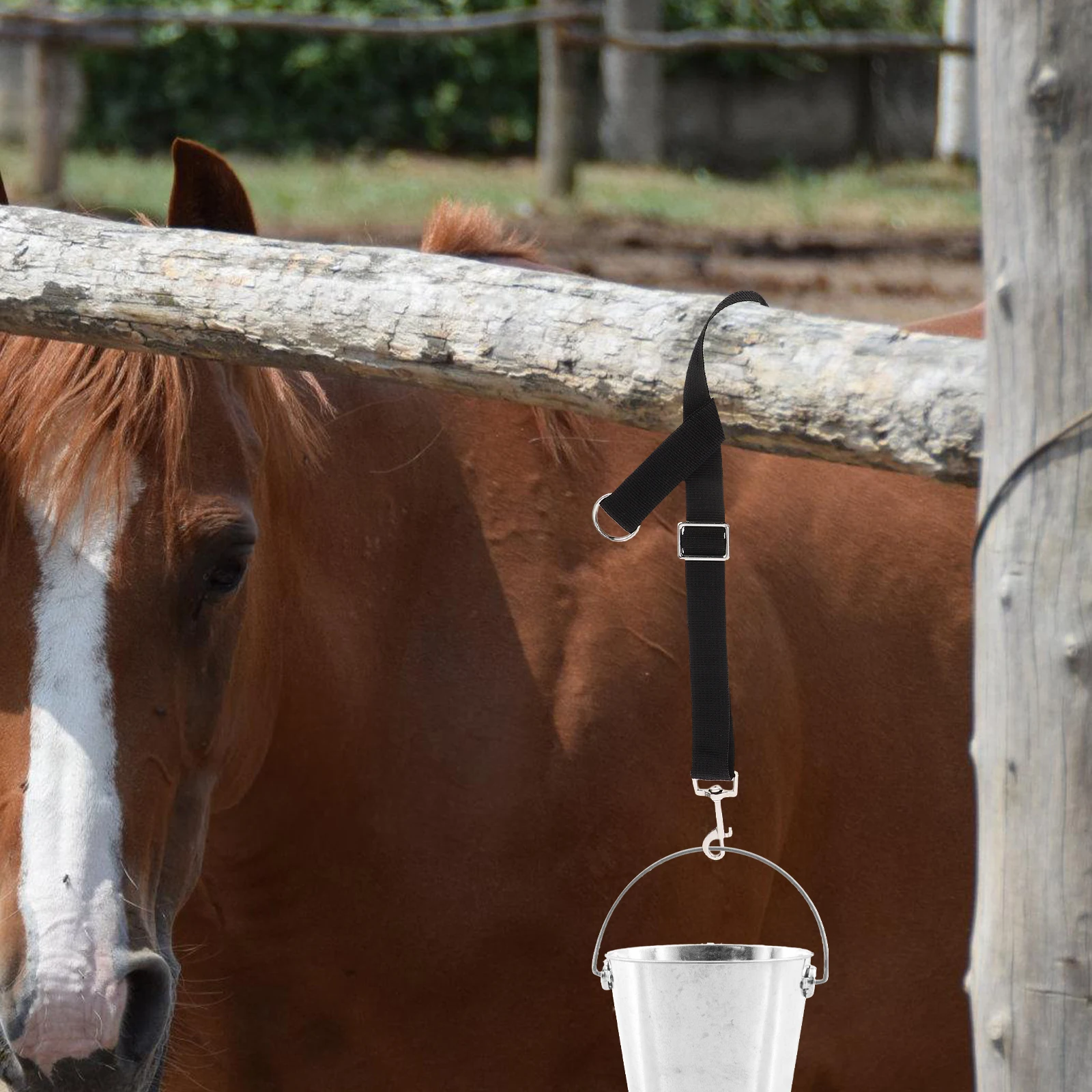 

4 Pcs Water Bucket Strap Adjustable Fixed Stud-farm Hanging Rope Durable Nylon Horse Stalls Rope Outdoor Feeding Bucket Hanger