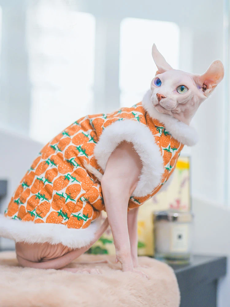 Abrigo de algodón suave con piel para gato Sphynx, sudadera naranja para gatitos, Mangas de disfraz dulces para gatos femeninos en invierno