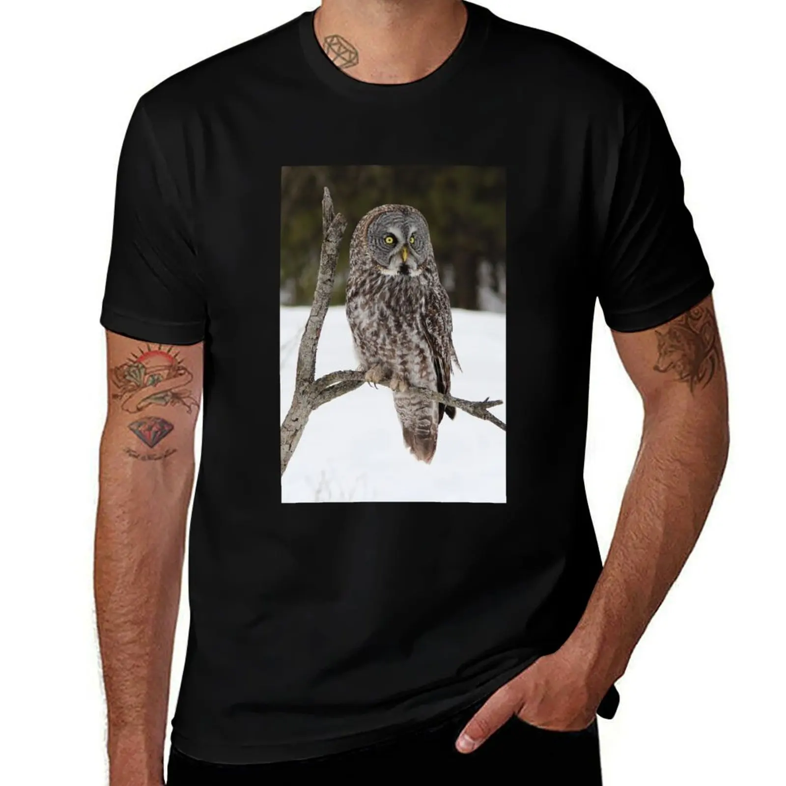 

Great Grey Owl portrait T-Shirt anime t shirts oversize cotton t shirt pack t shirt for man 100 percent cotton T-shirt