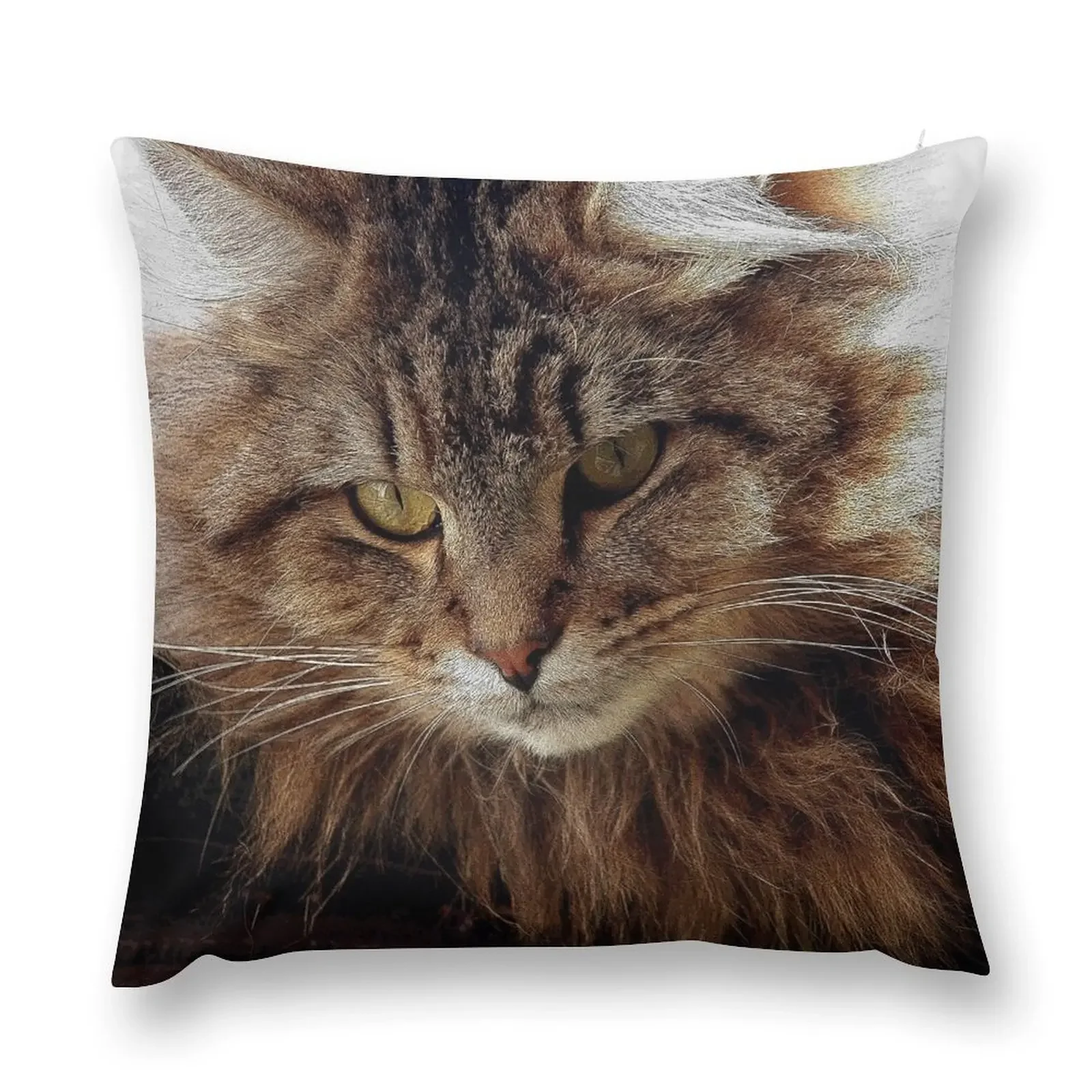 Maine Coon Cat Artwork Throw Pillow ornamental pillows for living room Bed pillowcases Cusions Cover pillow