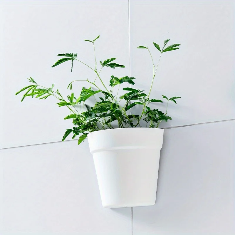 Semi-circular Wall-mounted Plant Planter Material Is Lightweight And Durable Easy To Install Suitable For Balcony