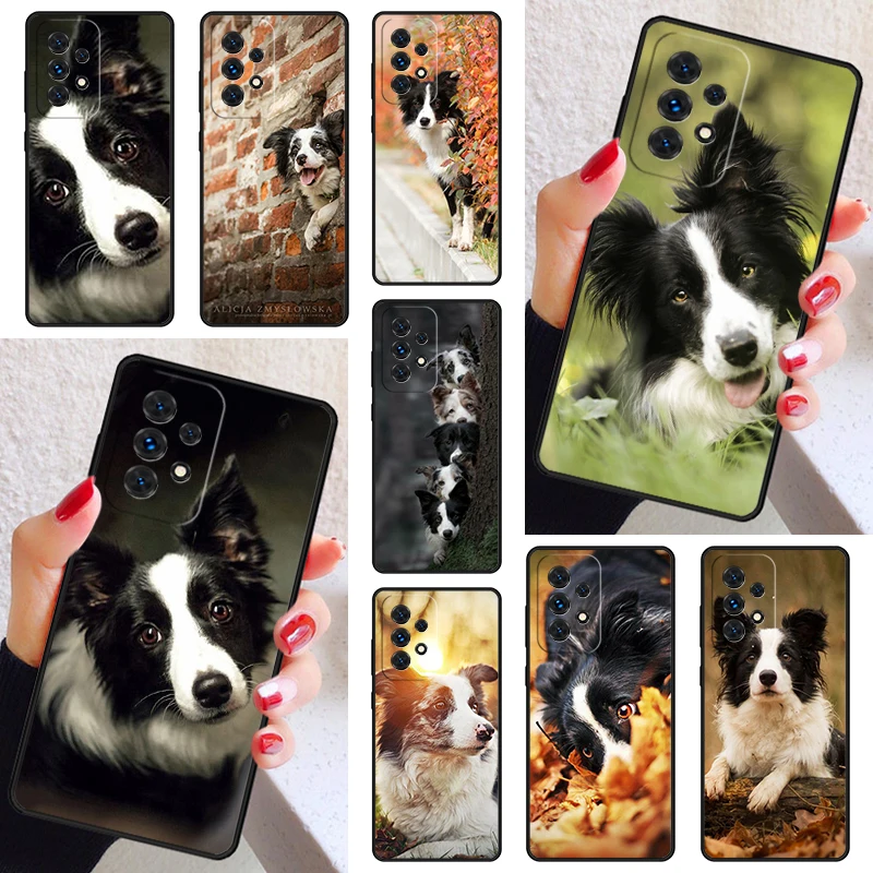 Cute Border collie dog pet Phone Case Cover For Samsung Galaxy A52 A72 A73 A20e A21S A50 A70 A12 A42 A31 A40 A51 A71 A32 A80 A91