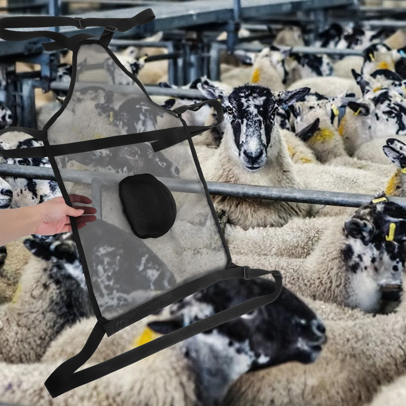 

1pc Adjustable Sheep Goat Anti-Mating Apron Breeding Control Cover Black Cow Horse Livestock Farm Use Wrap Mesh