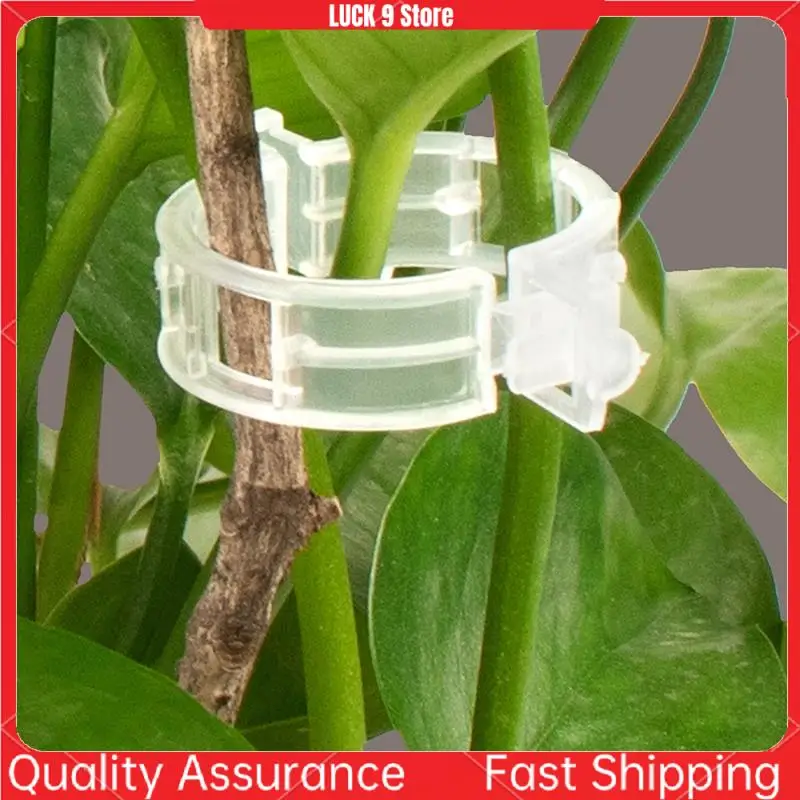 

2000Pcs Garden Clips For Vine Crops, Climbing Plants, Flowers - Easy To Use, Disposable And Durable-AB52