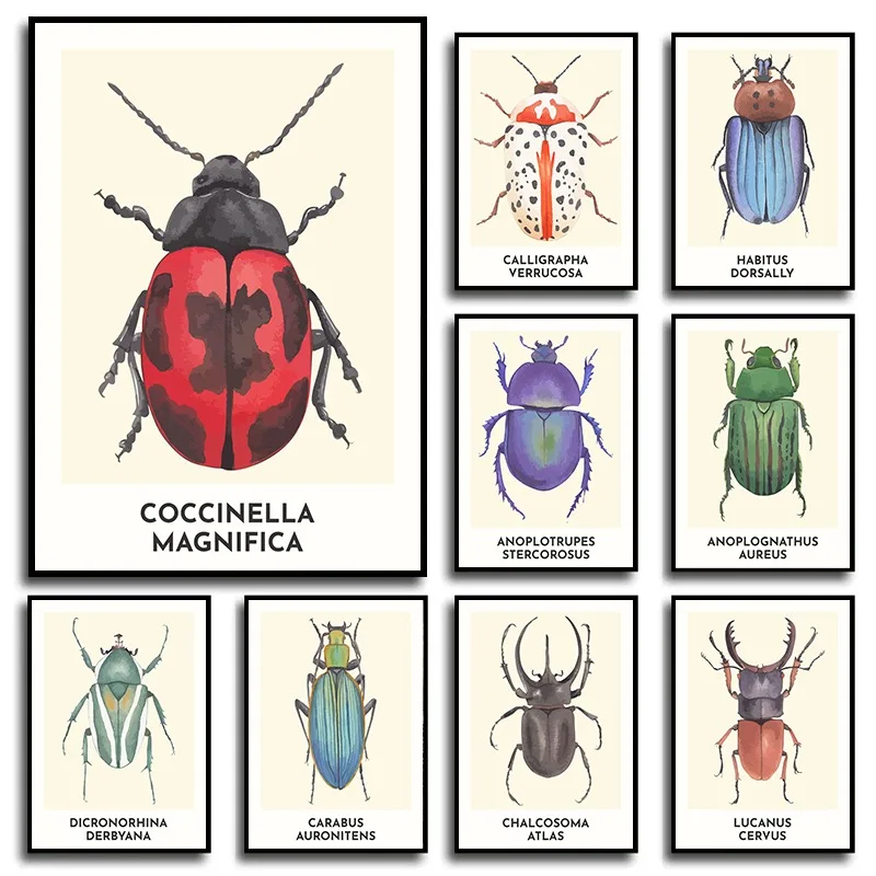 Colourful Insect Beetles Bugs Ladybug Animal Science Posters and Prints Canvas Printing Wall Art Picture for Kidsroom Home Decor