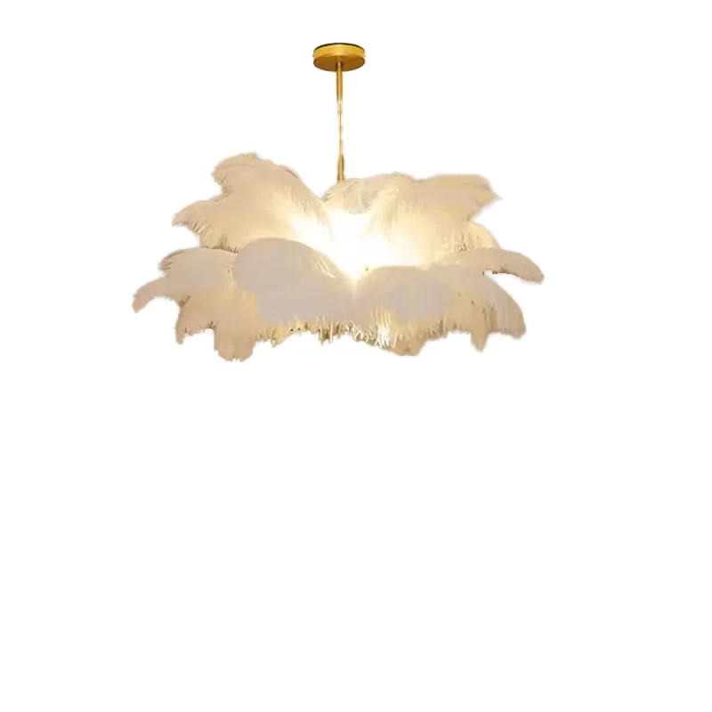 Modern Simple Nordic Feather Lamps for Luxury Home Decor a New Design for Living Room and Bedroom