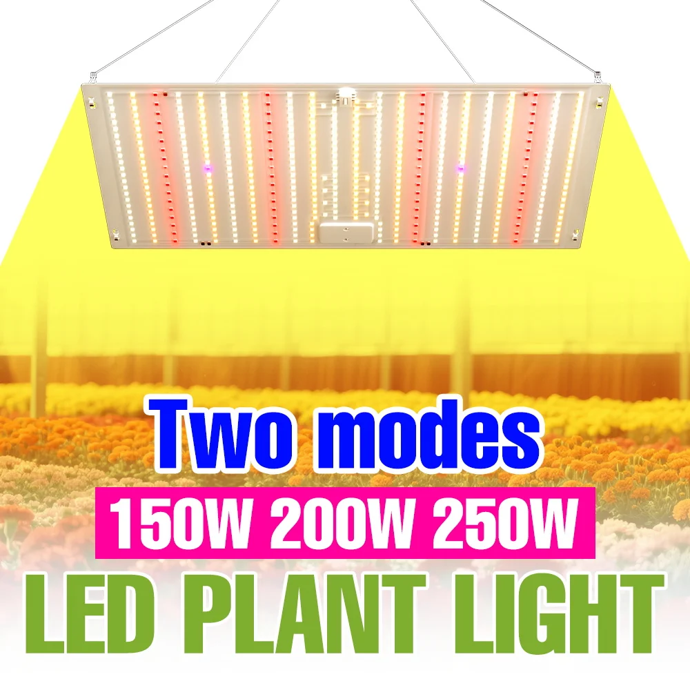 

250W LED Grow Lights Full Spectrum 100-277V Quantum Plate Indoor Plant Lamp Flower Potted Cultivation Fill Lighting US/EU Plug