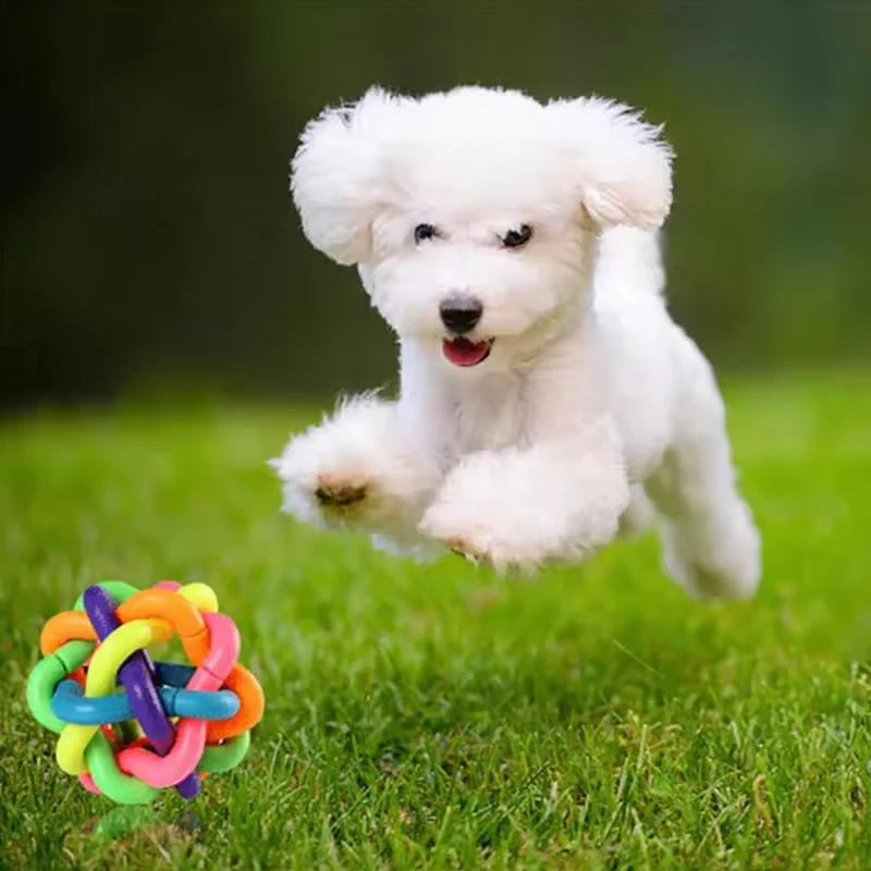 Thumbnail 4 - #10 New Puppy Chew Toys Arrivals