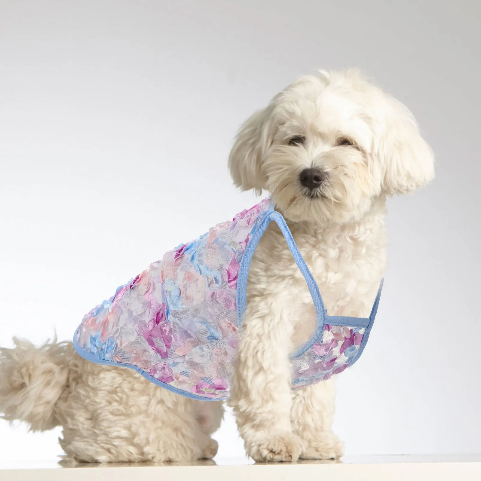 

Party Pet Costume Adorable Design Breathable Lightweight Durable Exquisite Sewing Suitable Small Animals Dog Cat Decorative Pet