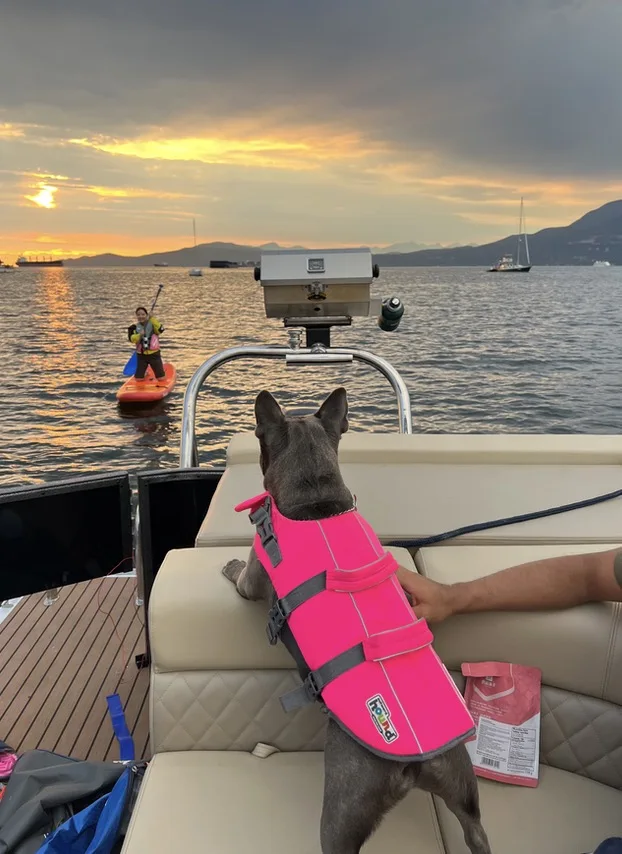 Barca pontone passeggeri galleggiante in alluminio per yacht sportivo di lusso Allsea in vendita dotata di motore fuoribordo