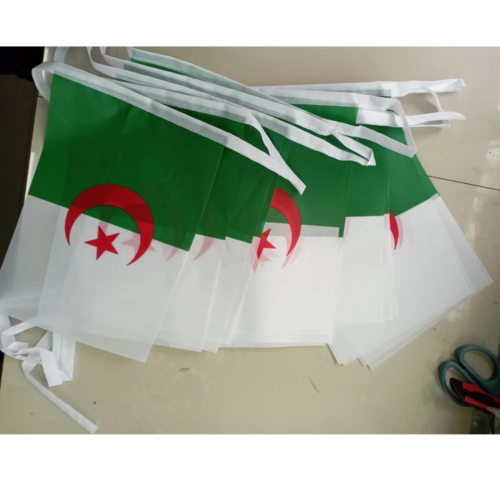 Xvggdg 14x21cm 20pcs/lot Algeria Flag Bunting Banner Algeria Flag National Flag String Flags Pennant Banner