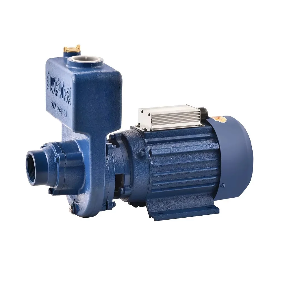 1Inch 350W 750W DC solar self-priming agricultural irrigation centrifugal pump solar self-priming pump No need controller