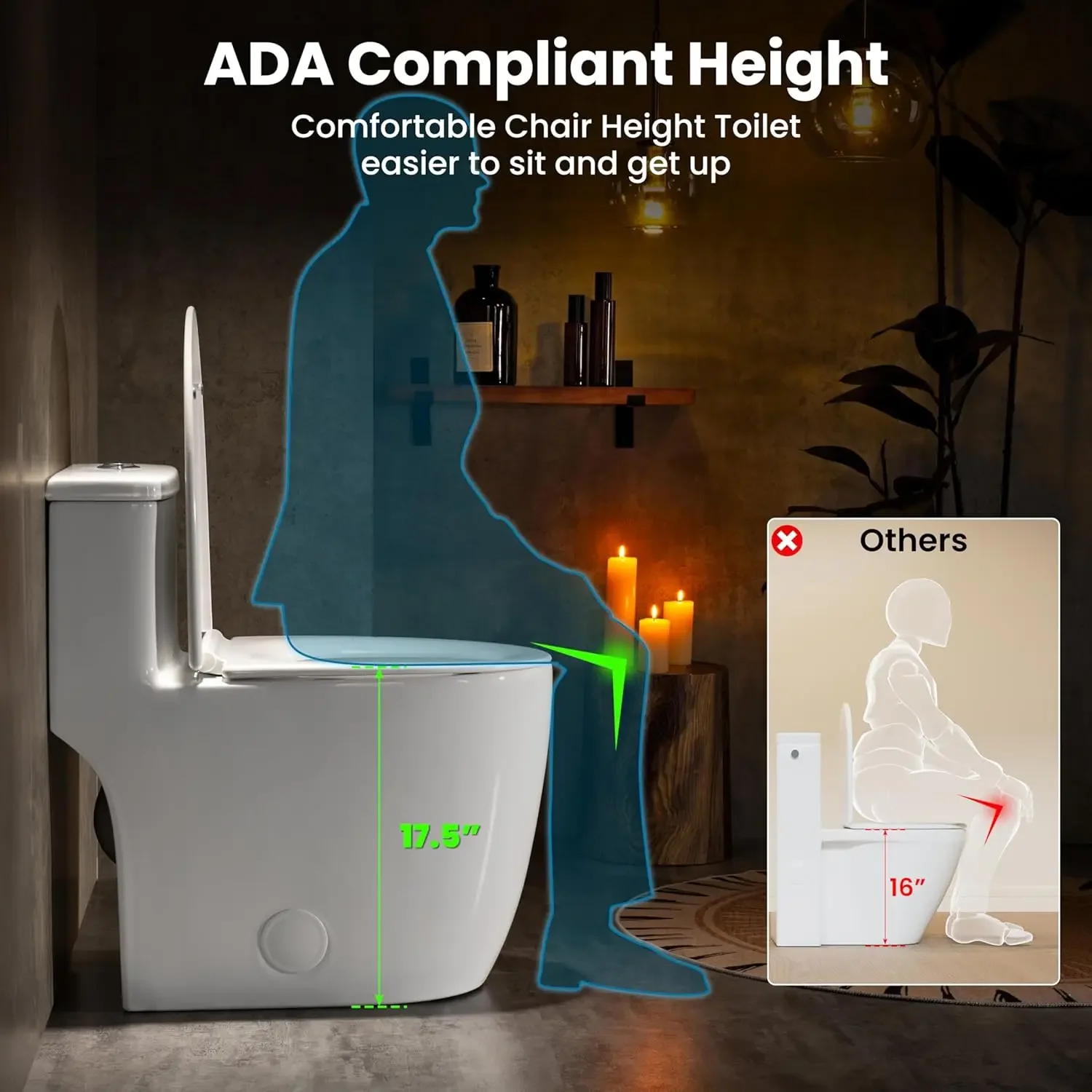 One Piece Toilet Elongated with 17.5