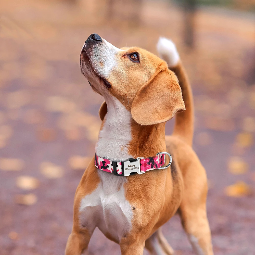 Collier de chien en nylon imprimé personnalisé avec nom et numéro de téléphone, gravure gratuite