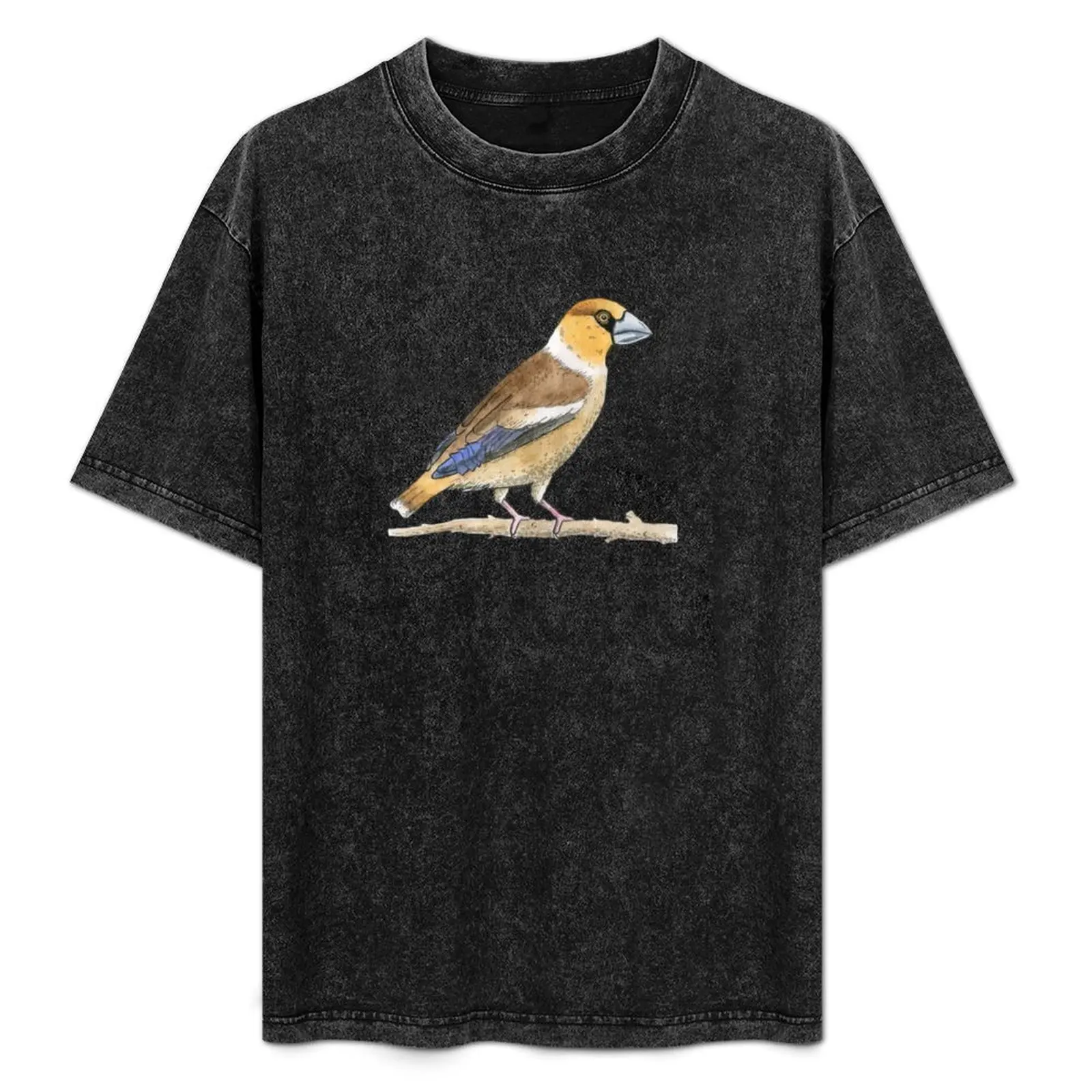 

Hawfinch T-Shirt graphic tee shirt blue archive mens designer clothes