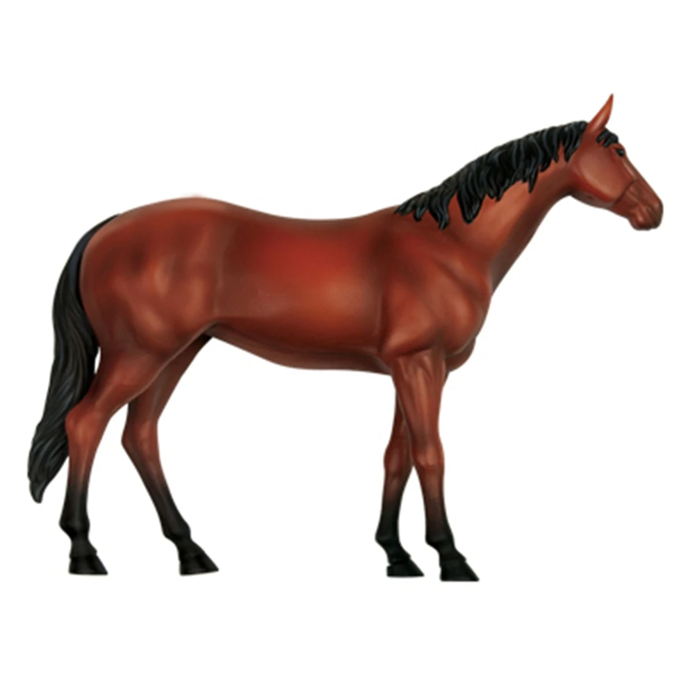 Modelo de anatomia de órgão animal 4d, inteligência de cavalo, montagem de brinquedo, modelo de anatomia de ensino, aparelhos científicos populares diy