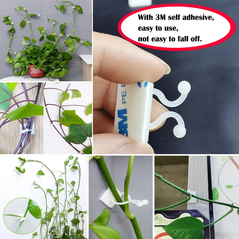 50PCS Invisible Rattan Clamp Wall Fixture Clips Vine Climbing Fixer Self-Adhesive Hook Plant Bracket Sticky Hook Plant Support