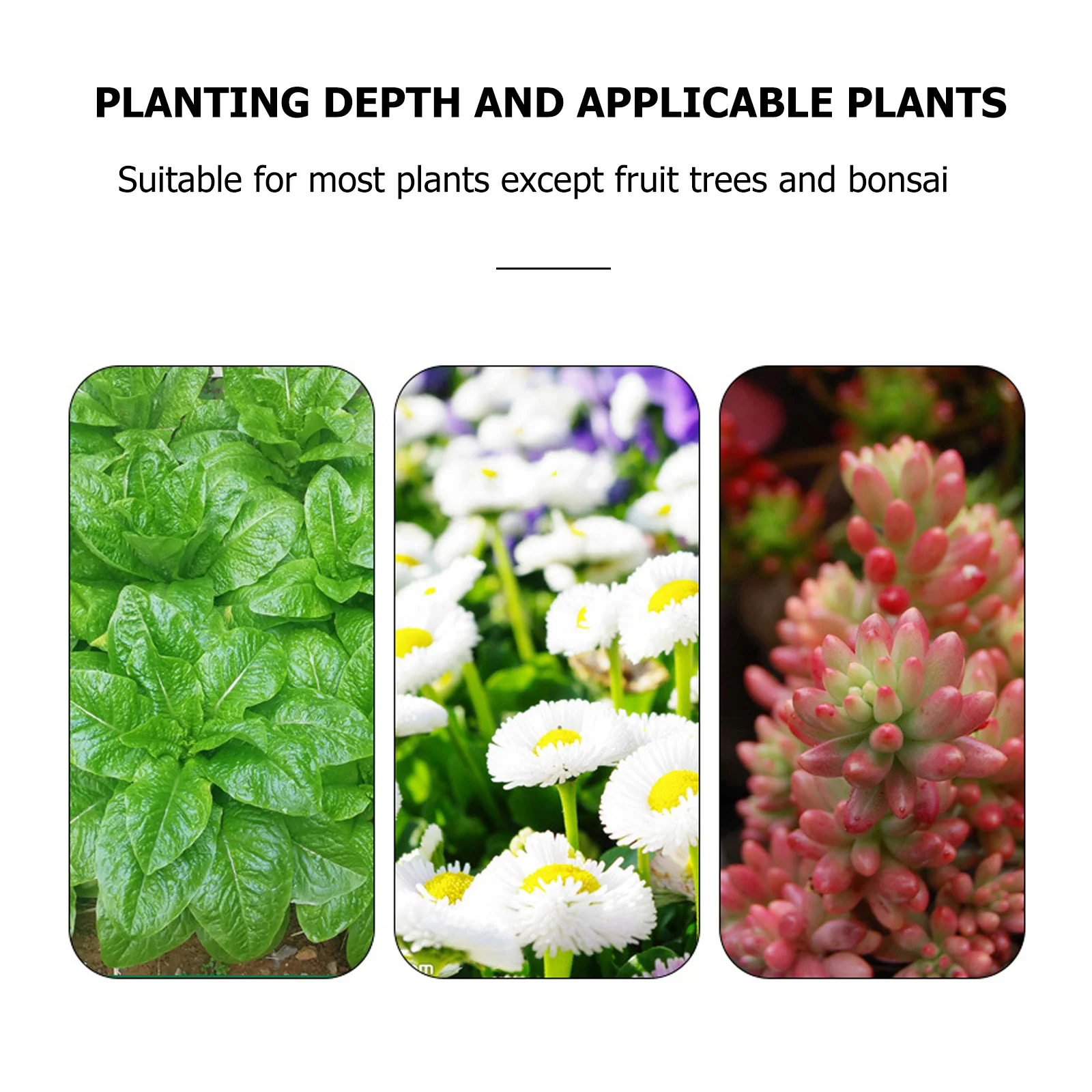 

2Pcs Thickened Flowerpot Rectangular Plants Pot for Balcony Garden Breathable Vegetable Planting Basin Durable Resin Plant