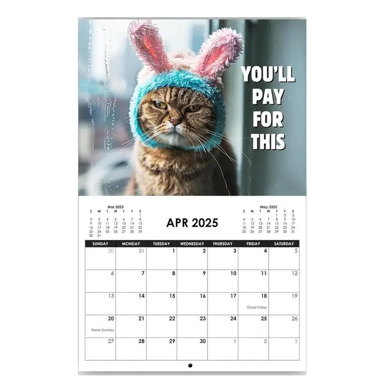 2025 Cat Calendar Angry Kitten Calendar For Home Fun Month 2025 Planner Calendar Creative Cute Kitten 2025 Wall Art Calendar