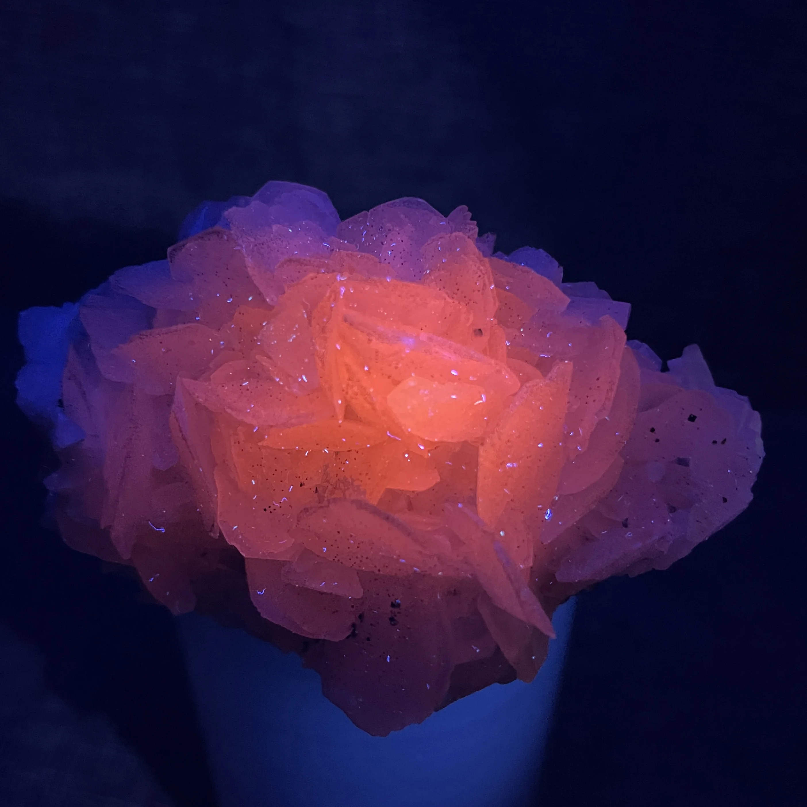 Natural Rose Flake Petal Fluorescent Effect Pink Calcite With Pyrite Symbiont Mineral Specimen Healing Stone Home Decor XX1-7
