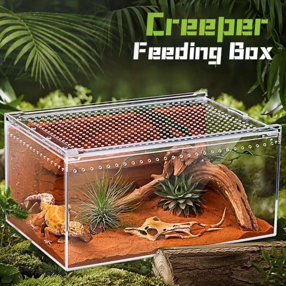 New Transparent Reptiles Terrarium Acrylic Easy to Install Reptile Kennel Ventilated Anti-escape Lizard Breeding Box for Snake