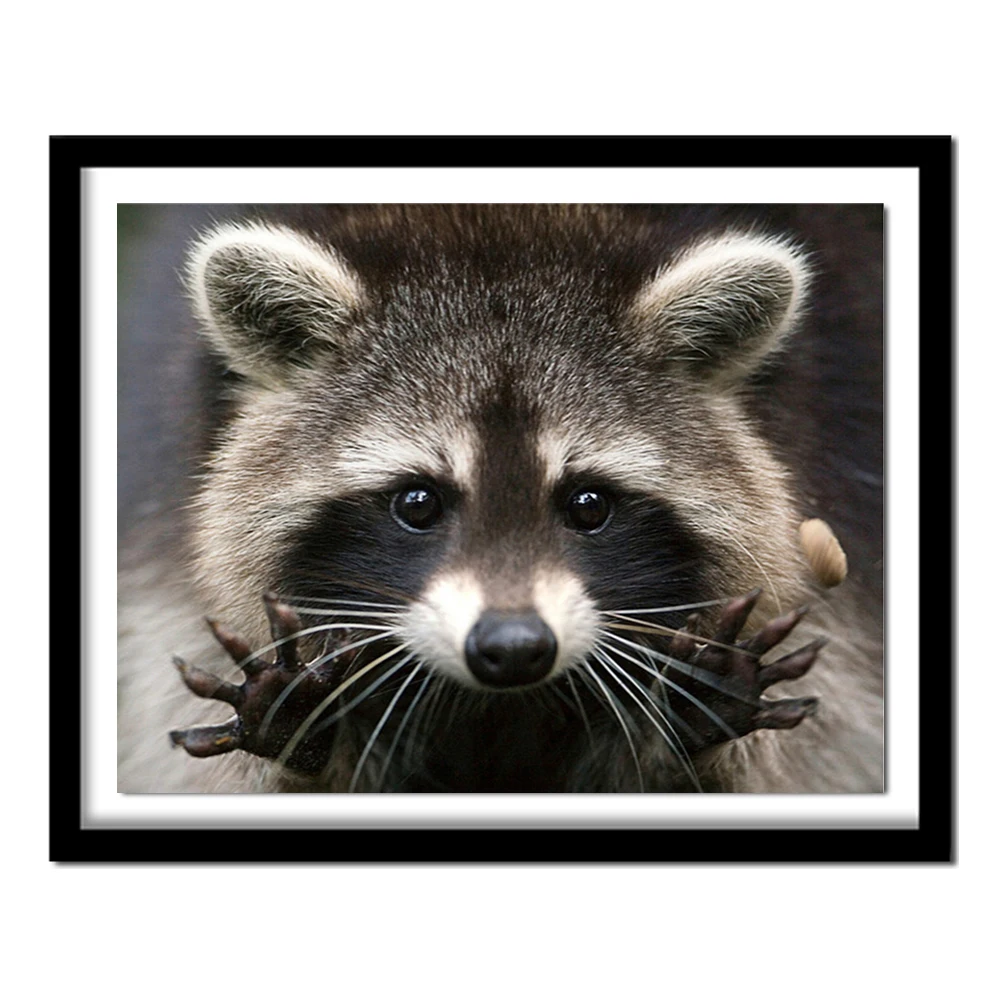 5D New DIY Diamond Painting Raccoon full diamond mosaic Animal Diamond embroidery New collection Cross stitch kits home decor