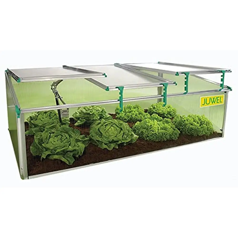 Biostar 1500-NP Juwel Premium Cold Frame Mini Greenhouse 59x32x20 in. Twin-Wall Polycarbonate Windows No-Drip Coating Easy