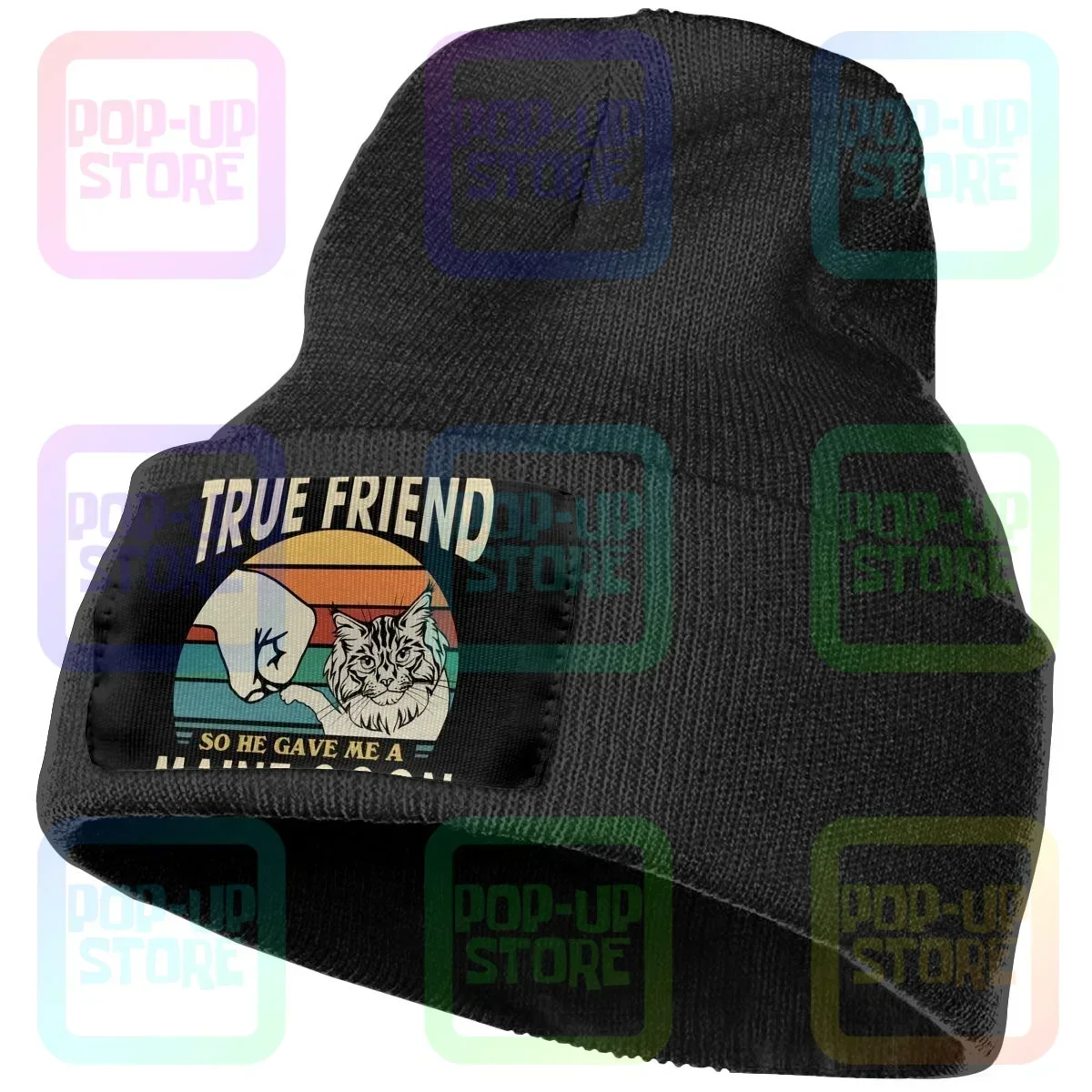 I Asked God For True Friend He Give Me Maine Coon Cute Cat Knitted Beanie Hat Beanies Cap Cool Hip Hop Streetwear