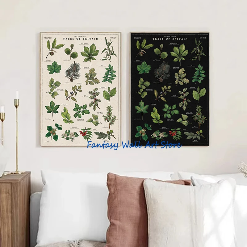 Retro Botanical Artworks British Trees Foraging Wild Food Mushrooms Wildflowers Poster Canvas Painting Wall Pictures Home Decor