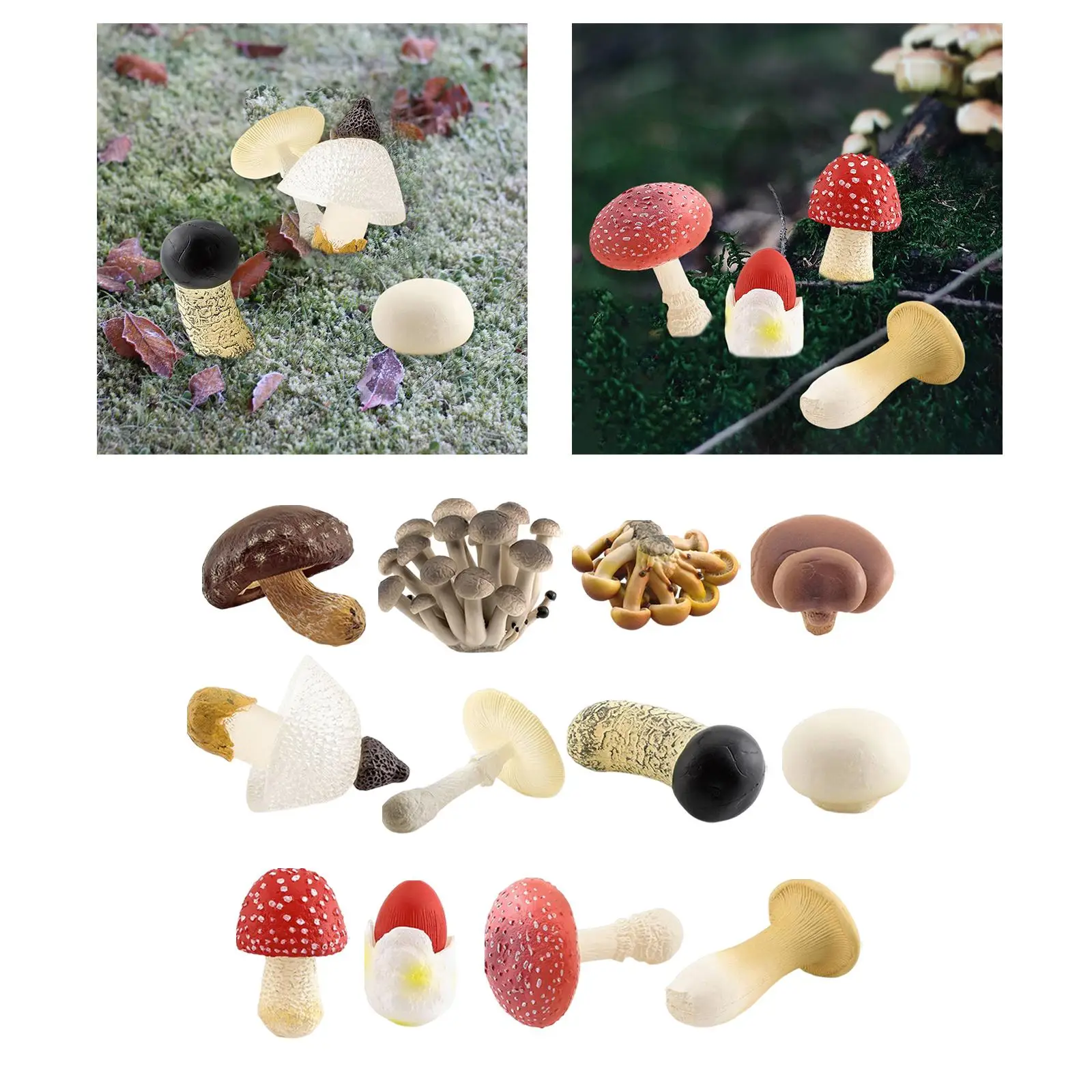 

4x Mushroom Model Development Toy Ornaments Props Figurines for Storytelling