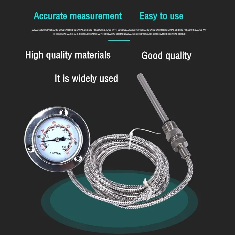 Wtz-63 Axial Stainless Steel Pressure Thermometer With , Line Length , Thread 1/2, Probe 10*100mm.