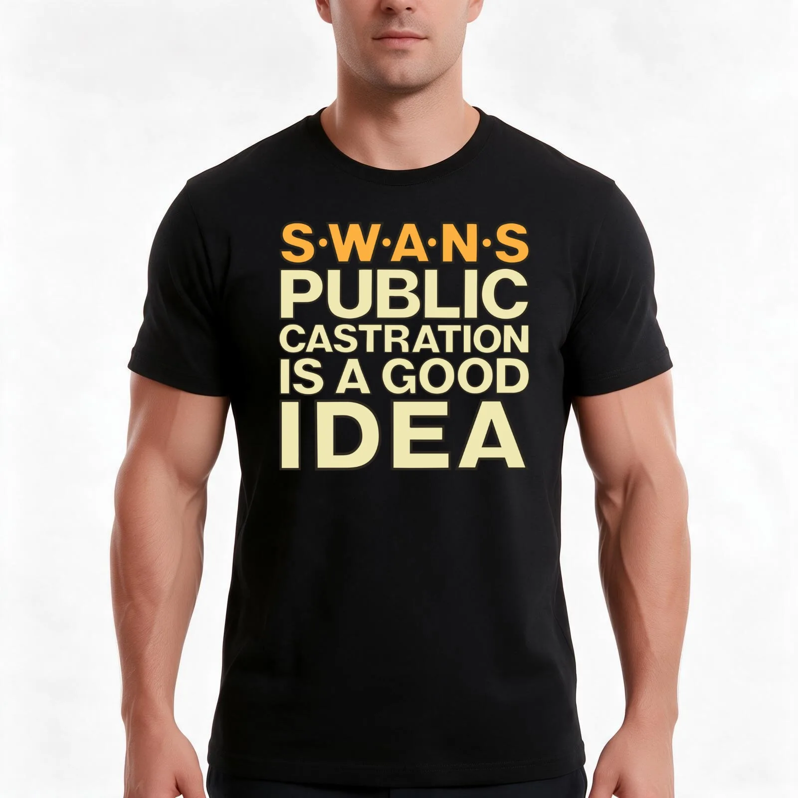 SWANS T-Shirt, Summer Casual Cotton Tee, Oversized Streetwear Tops, Vintage Graphic Print, Loose Fit Short Sleeve, 100% Cotton