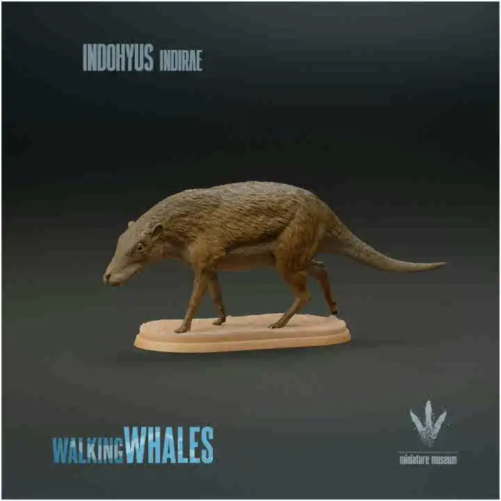 1/35 9cm Pakicetus Model Toy Ancient Extinct Life Model Gk Customize Early Whale Indohyus