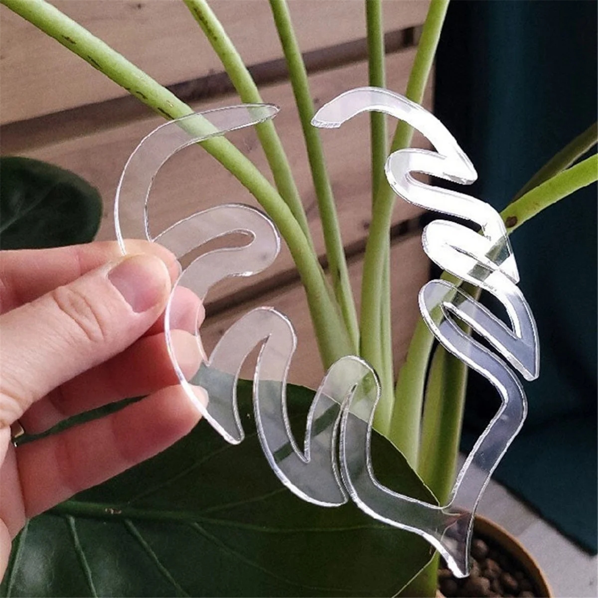 4Pcs Plant Stem Plastic Support,Reusable Plant Retaining Support,A+B