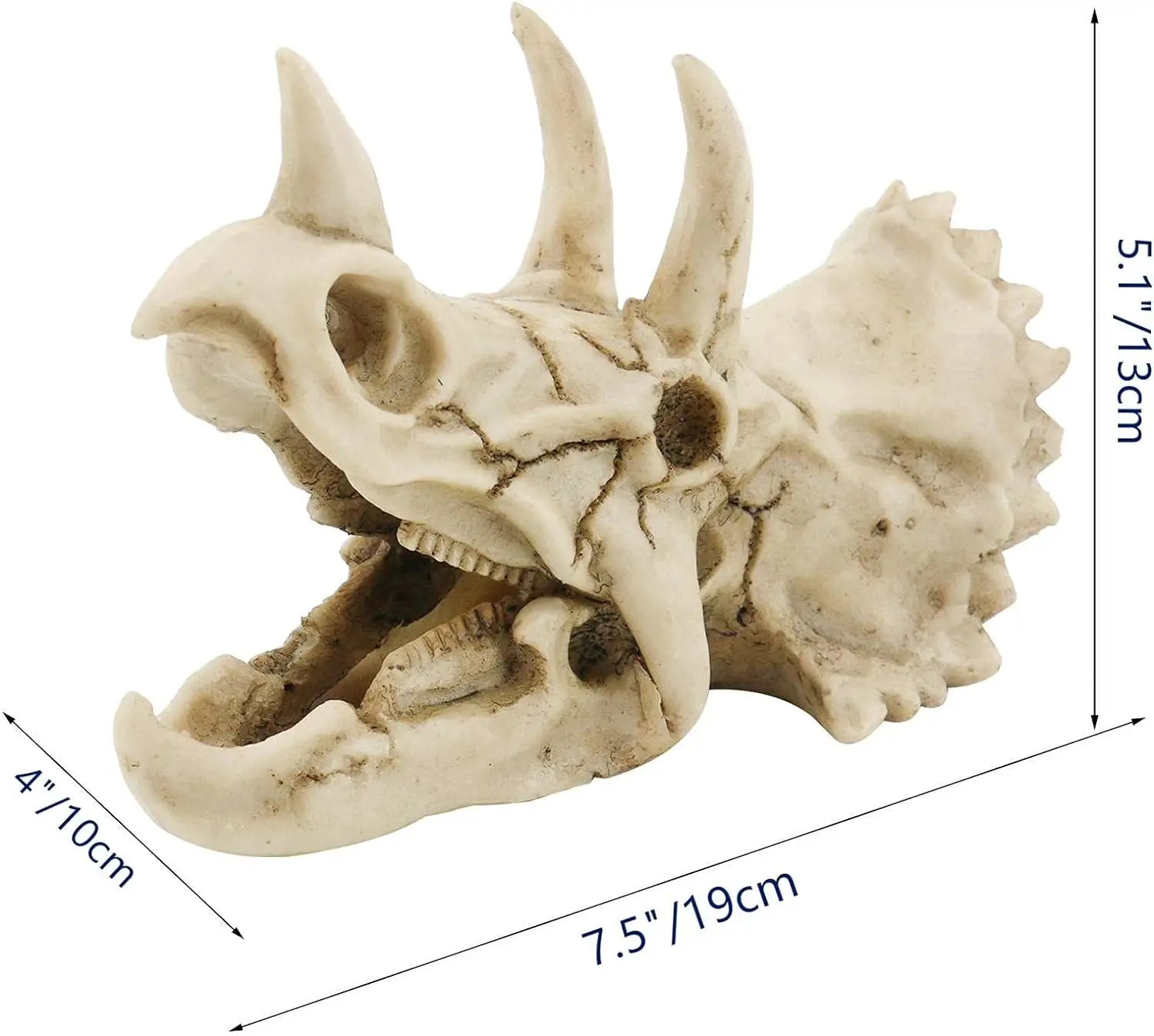 Resin Dinosaur Skeleton Triceratops Imitation Skull Model Home Office Display Decoration Skull Statue Room Decor Skull Sculpture