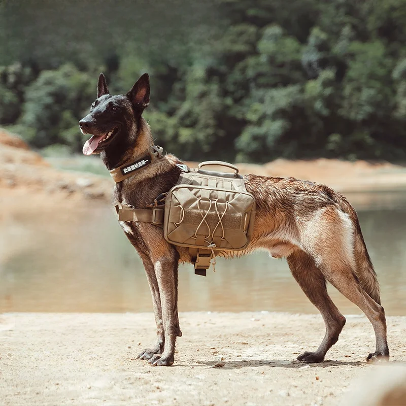 

Самонесущаяся шлейка-переноска Bapa для крупных собак для путешествий на природе с поводком, нагрудный ремень для 2 собак, зоотовары
