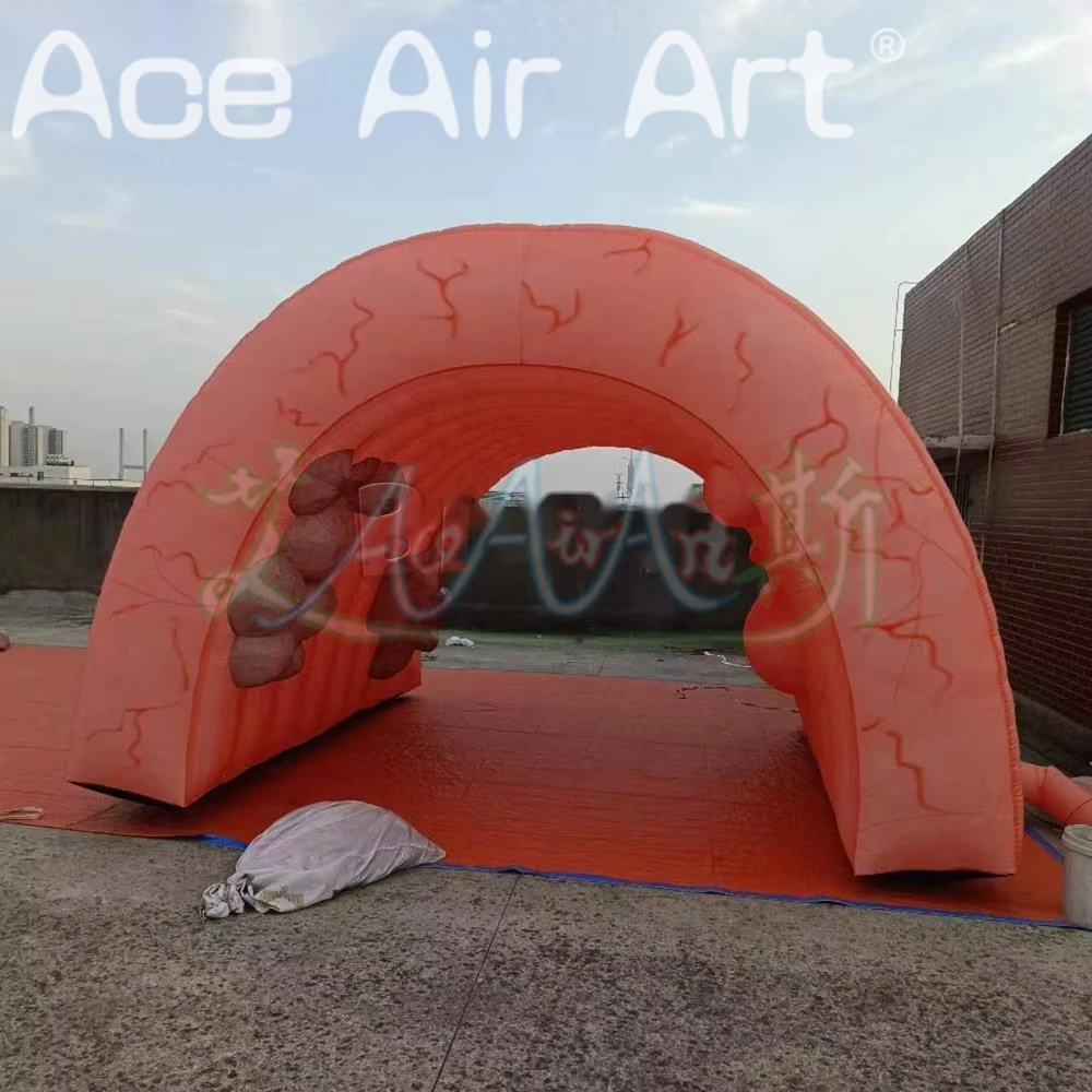 High Quality Giant 4x4x3mH Inflatable Colon For Medical Teaching Use Custom Inflatable Intestine Organ Tunnel Tent