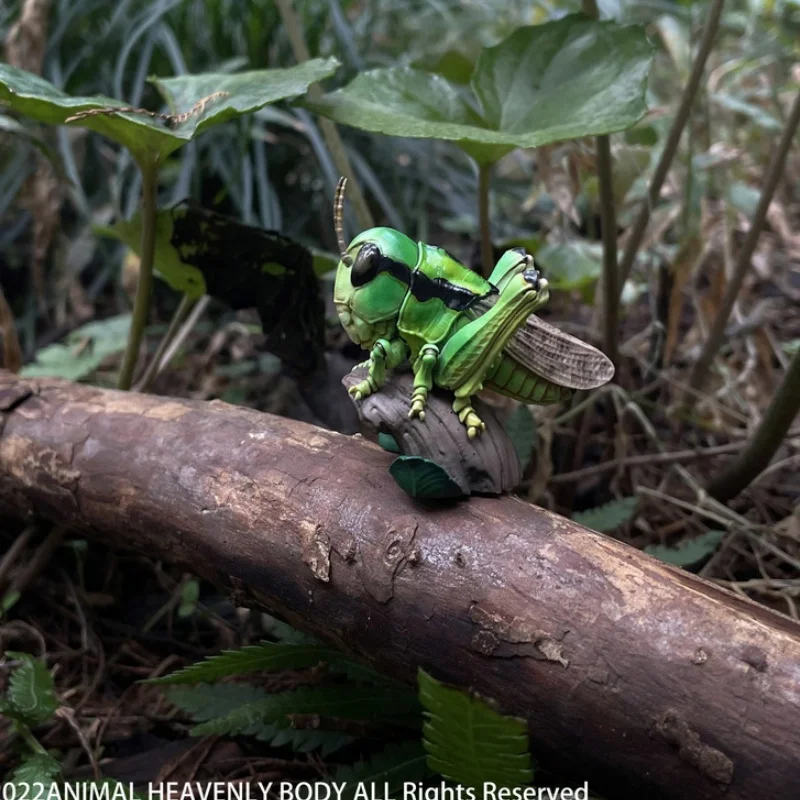 حار بيع! Animal Planet Heart Wide Body Fat Series 11th Bug Series 02 نموذج لعب زخرفة محمولة #4