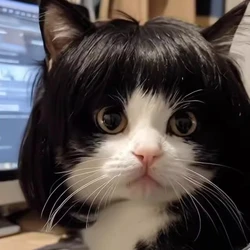 Pet Wigs Cats Costume Headwears High Temperature Fiber Hair Wigs Easy To Wear Wigs For Holiday Celebration Dressingup Props Y5GB