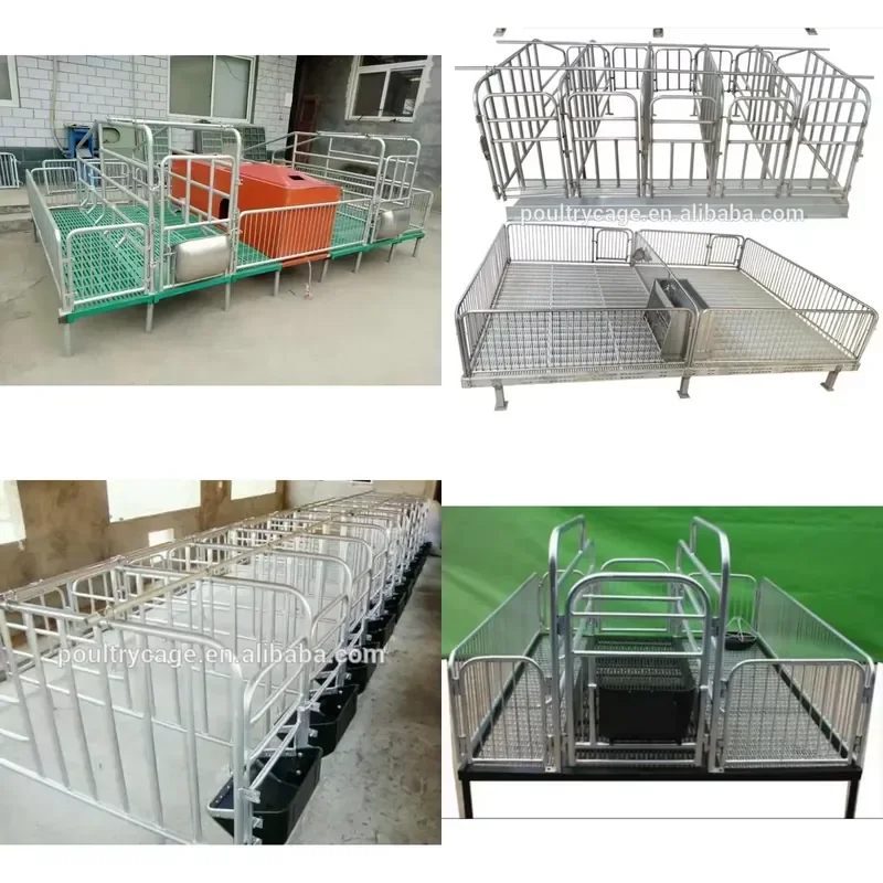 

SFW Certificate BAIYI Supply Farrowing Pen Farrowing Crate Farrowing Cages for Pigs Farm Breeding