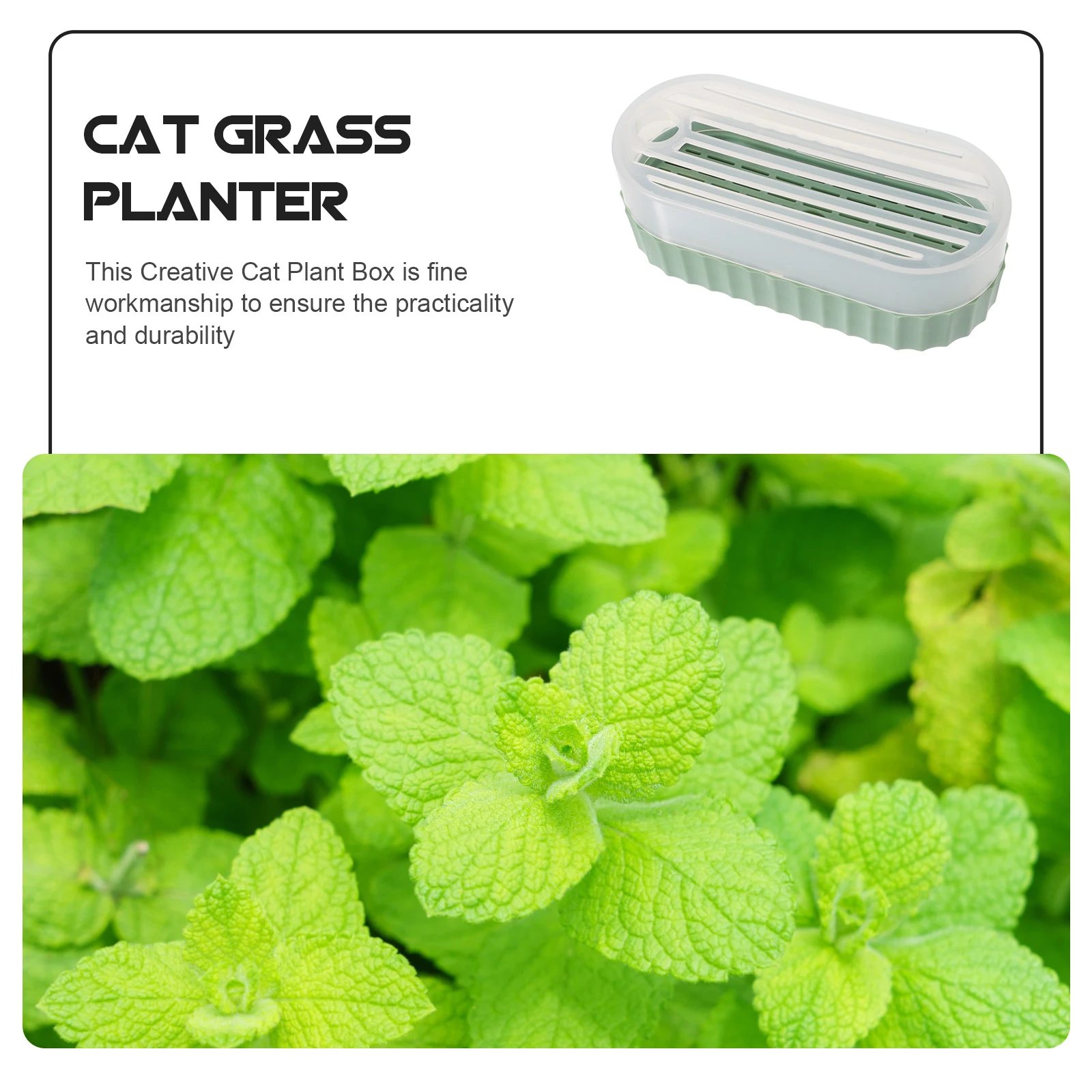 

Cat Grass Planter Set Hydroponic Cat Plant Pot Soilless Indoor Nursery Container For Pet Cats Planting Trays Large Capacity