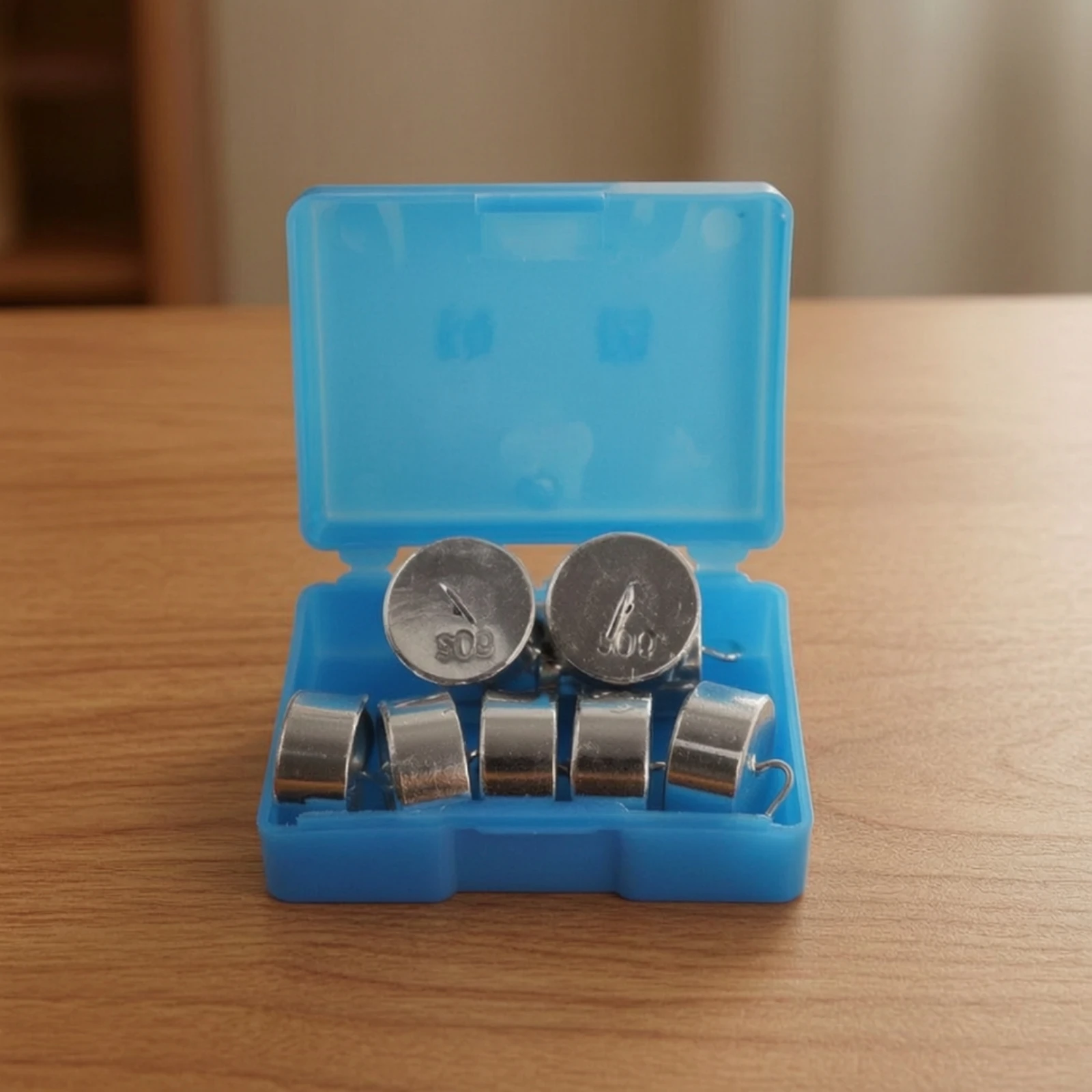 Hook Weights with Storage Case Silver-Colored Hook Weights with Storage Box Compact Accurate for Students, Classroom