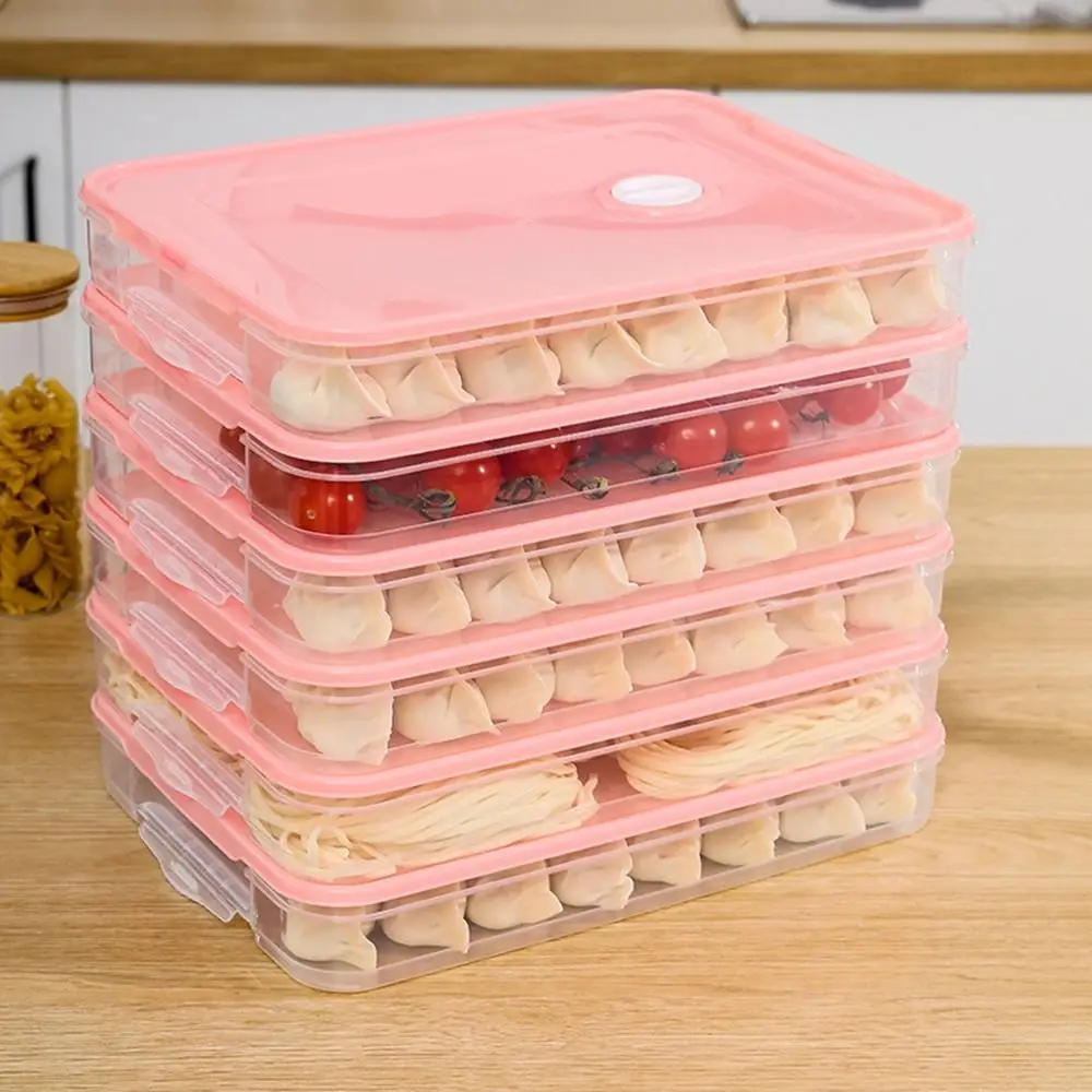 Plastic Dumpling Box Multi-Layer Transparent Wonton Fresh-Keeping Organizer with Cover Quick Freezing Food Egg Frozen Box