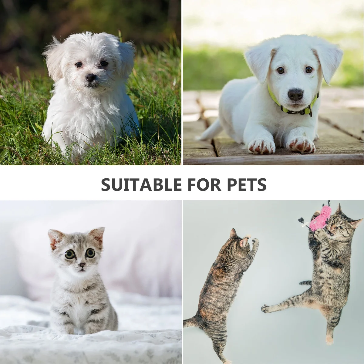 

2Pcs Pet Collar Halloween Spider Web Skull Design Adjustable Elastic Large Bell Cat Necklace Pet Decoration Neck Strap