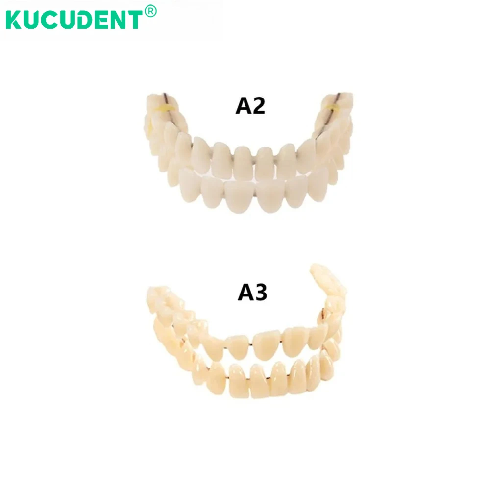 

28pcs/Pair Dental Resin Denture False Teeth Acrylic Synthetic Tooth Model Full Mouth Set Shade A2 A3 Two-Layer Dentist Teaching