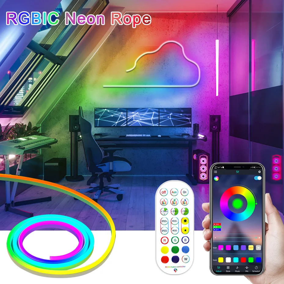 DC12V Led Neon Strip Lights RGBIC EU/AU/UK/US plug Dreamcolor IP67 Waterproof RGB IC Led Tape Tuya WiFi/Bluetooth/Remote Control