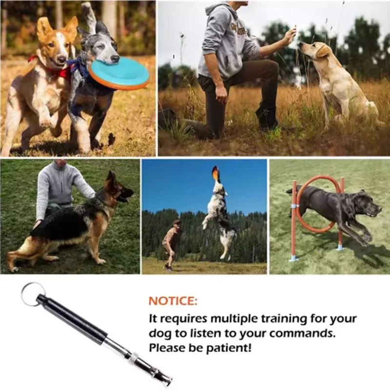 Thumbnail 3 - #34 Dog Training Whistles Comparison Guide