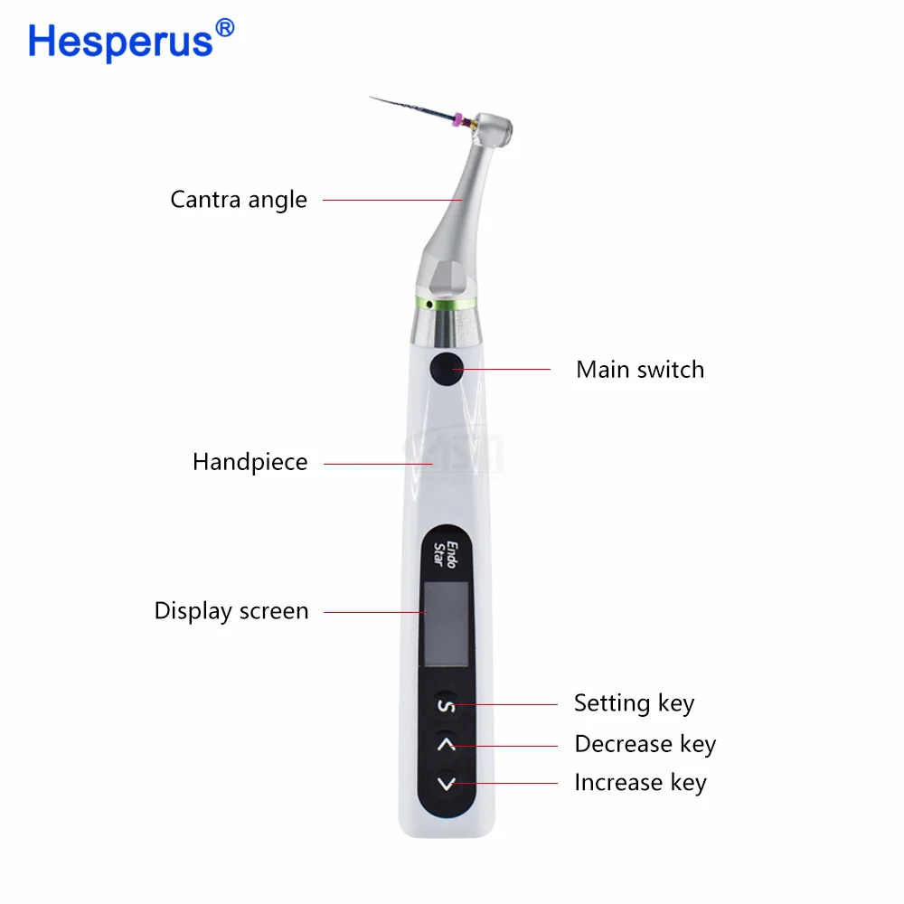 High Accuracy 2 in 1 Den tal wireless Endo Motor With Built-in Apex Locator And 6:1 Mini Head Contra Angle Den tal Equipment