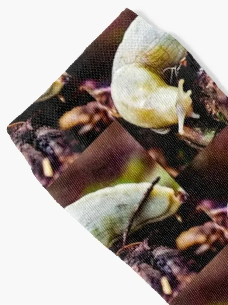 Banana Slug Socks heated floral Stockings funny gifts Women's Socks Men's