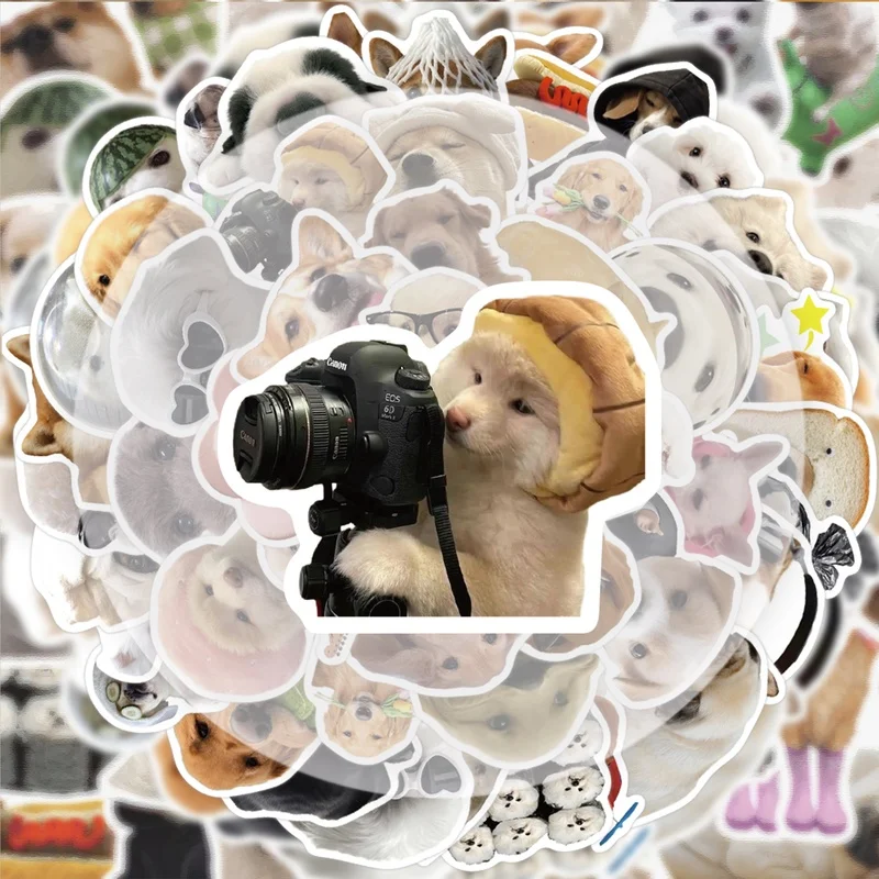 50 ملصقًا ممتعًا للكلاب، شارات لاصقة نابضة بالحياة، أنماط متعددة بدون مكررة، مناسبة لزجاجات المياه وأجهزة الكمبيوتر المحمولة وحقائب السفر وألواح التزلج والقيثارات وديكورات الحفلات